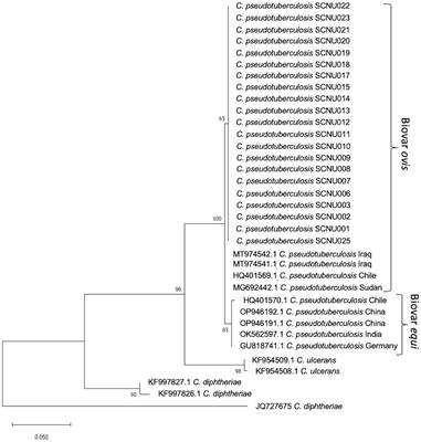 Pilot study on the distribution of caseous lymphadenitis in Korean native goats and the relationship between sex and age in disease occurrence